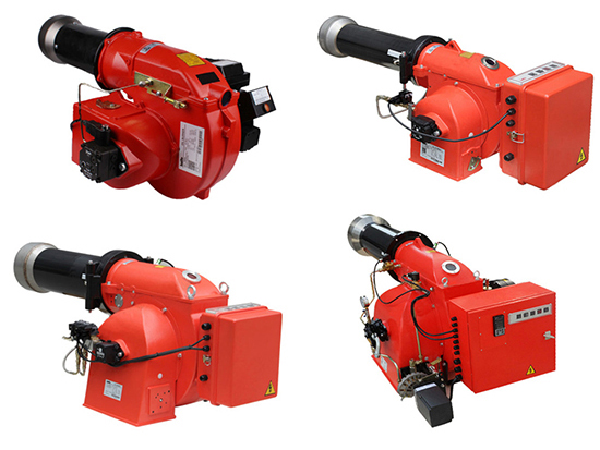 The gas burner structure consists of the following 5 systems: