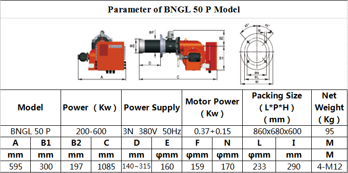 Gas And Light Oil Burner