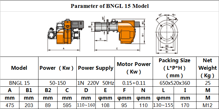 gas and light  burner