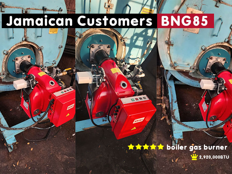 jamaican-customer-bng85.jpg