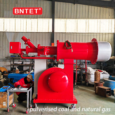 Dual fuel burner with pulverised coal and natural 