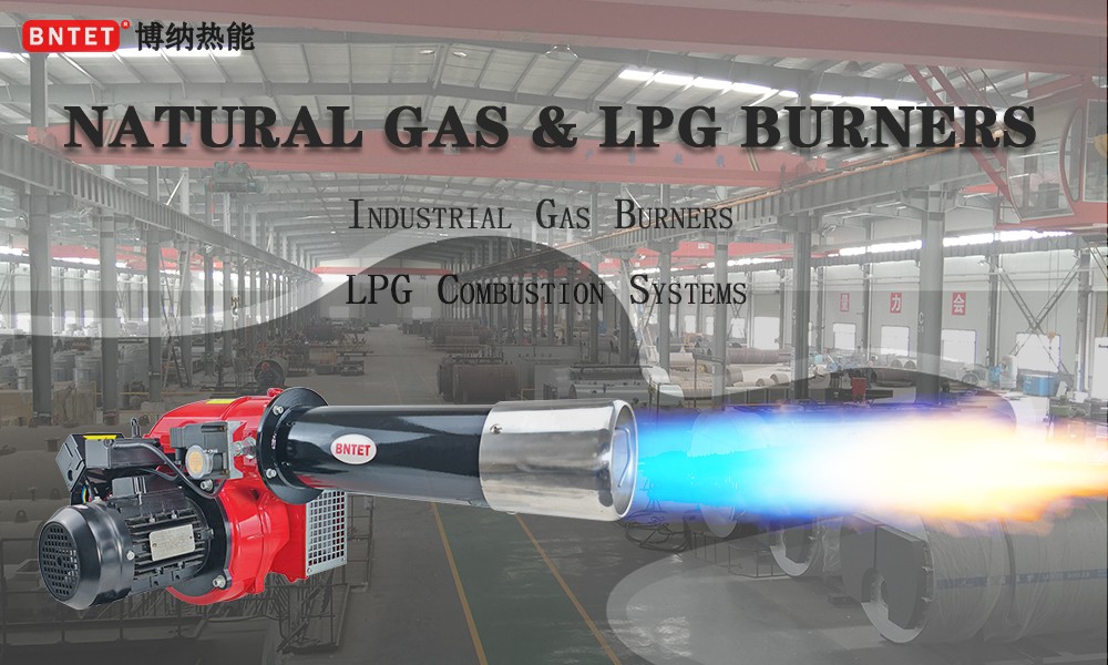 Hot Sale Natural Gas LPG Burners for Industrial Bo