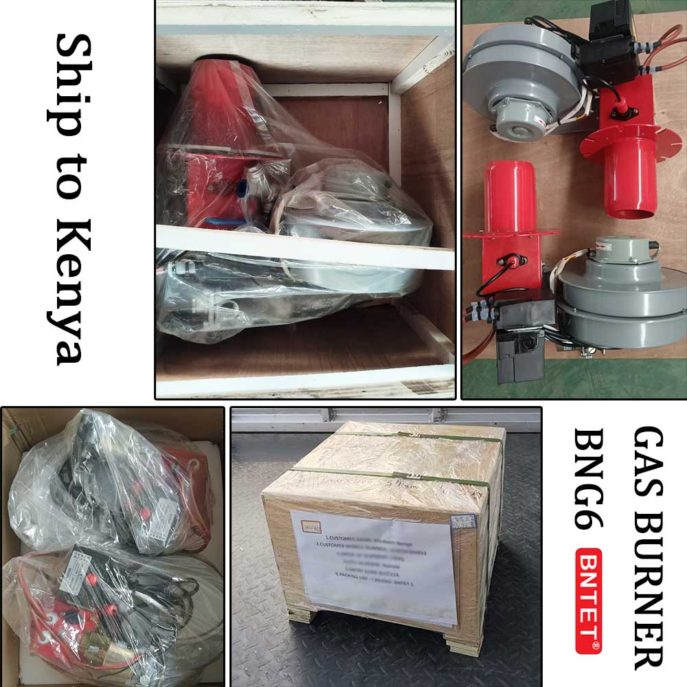 High-Efficiency BNG6 Compact Gas Burner Exported to Kenya